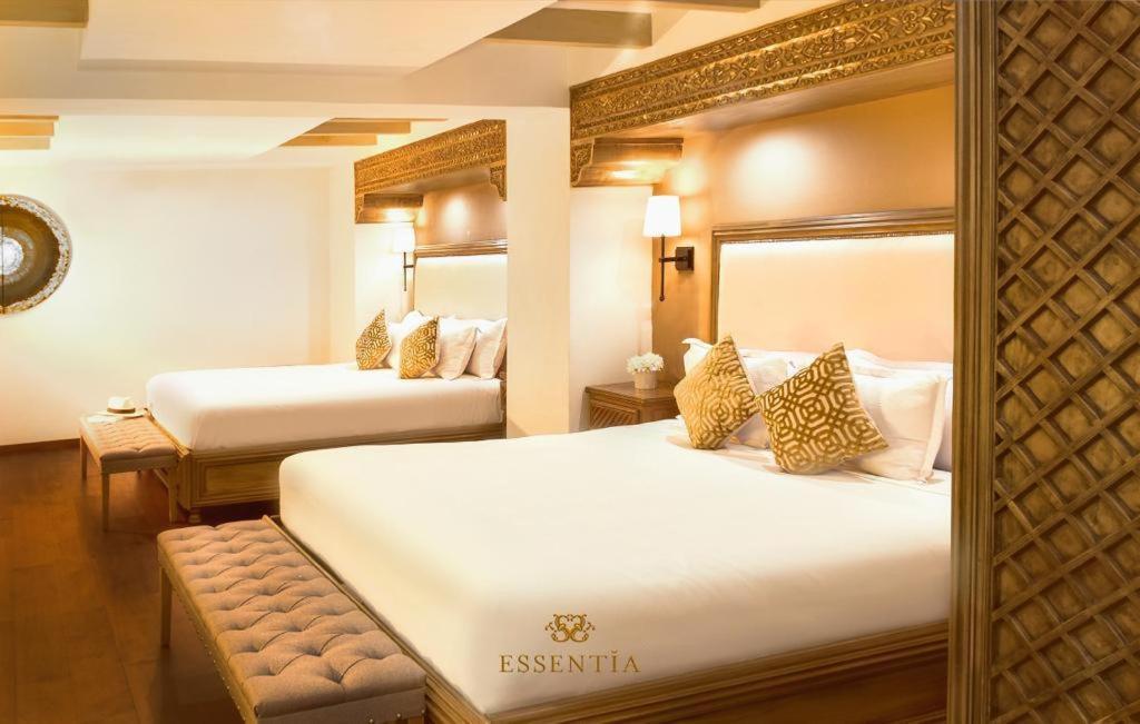 The Essentia Hotel San Miguel San Miguel de Allende Luaran gambar