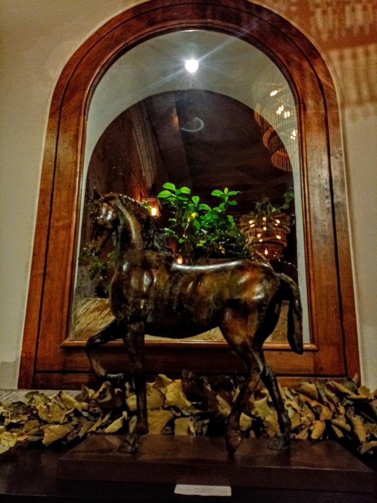 The Essentia Hotel San Miguel San Miguel de Allende Luaran gambar