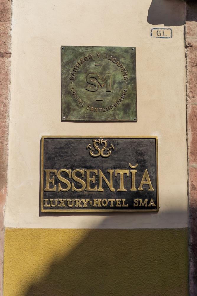 The Essentia Hotel San Miguel San Miguel de Allende Luaran gambar